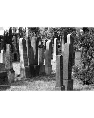 Headstone For Dogs Grave Royal Oak MI 48073